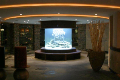 Location d'aquarium - Neptunea SA